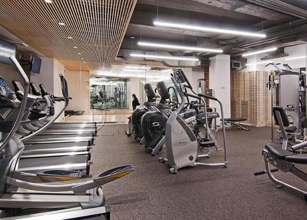 1 bedroom apartment for rent in Financial District - Manhattan, New York