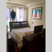 Looking for a roommate