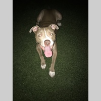 Looking for a roommate in Central Los Angeles, San Fernando Valley, Westside / South Bay - Los Angeles