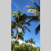 Looking for a roommate in Miami - Miami