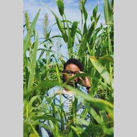 Looking for a roommate in Central Los Angeles, Westside / South Bay - Los Angeles