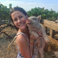 Looking for a roommate in Manhattan - New York