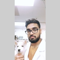 Looking for a roommate in San Fernando Valley - Los Angeles