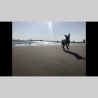 Looking for a roommate in San Fernando Valley - Los Angeles