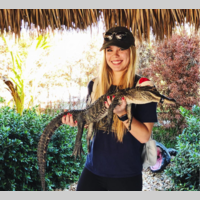 Looking for a roommate in Westside / South Bay - Los Angeles