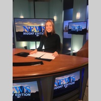 Looking for a roommate in Brooklyn, Manhattan - New York