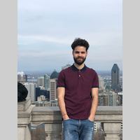 Looking for a roommate in Toronto - Toronto