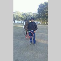 Looking for a roommate in Miami Dade - Miami