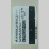 Looking for a roommate in The Bronx - New York