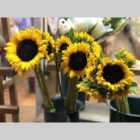 Looking for a roommate in The Bronx, Manhattan - New York