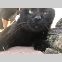 Looking for a roommate in Palm Beach County - Miami