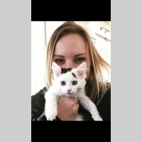 Looking for a roommate in Manhattan - New York