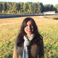 Looking for a roommate in Brooklyn, Manhattan - New York