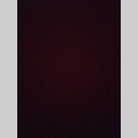 Looking for a roommate in Brooklyn - New York