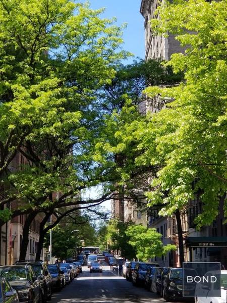 2 bedrooms apartment for rent in Upper East Side - Manhattan, New York