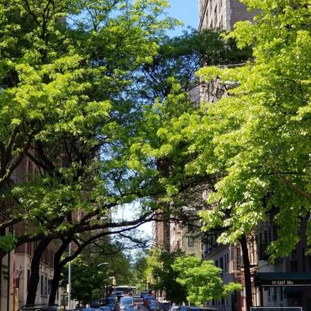 2 bedrooms apartment for rent in Upper East Side - Manhattan, New York