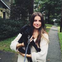 Looking for a roommate in Manhattan - New York