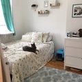 Room for rent in Greenpoint #1