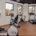 Room for rent in Playa Vista #4