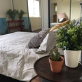 Room for rent in Echo Park #9