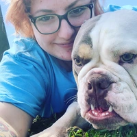 Looking for a roommate