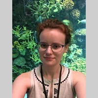 Looking for a roommate