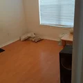 Room for rent in East Arlington #4