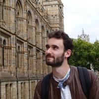 Looking for a roommate in Queens, Brooklyn, Manhattan - New York