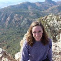 Looking for a roommate in Brooklyn - New York