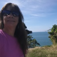 Looking for a roommate in Central Los Angeles, Orange County, San Fernando Valley, Westside / South Bay - Los Angeles