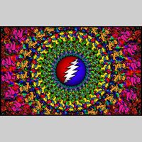 Looking for a roommate