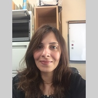 Looking for a roommate in Jersey City / Hoboken, Manhattan - New York