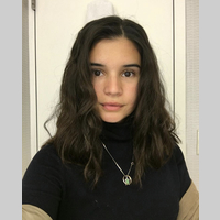 Looking for a roommate in North Side, Far North Side, Central - Chicago