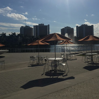 Looking for a roommate in Miami Dade - Miami