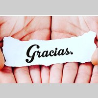 Looking for a roommate