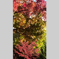 Looking for a roommate in The Bronx, Manhattan - New York