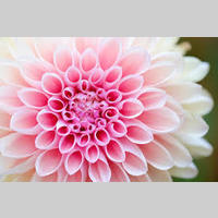 Looking for a roommate in Brooklyn, Manhattan - New York