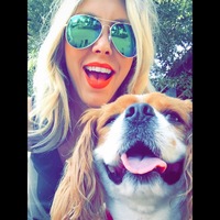 Looking for a roommate in Brooklyn, Manhattan - New York