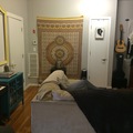 Room for rent in Bushwick #8