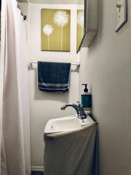 Studio Apartment for rent in Flatbush Ditmas Park - Brooklyn, New York