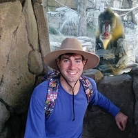 Looking for a roommate in Ne Dallas - Dallas