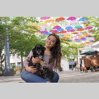 Looking for a roommate in Central Los Angeles, The Verdugos, San Fernando Valley, Westside / South Bay - Los Angeles