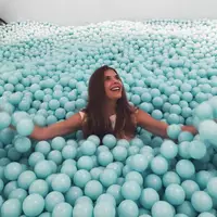 Looking for a roommate in Brooklyn, Manhattan - New York