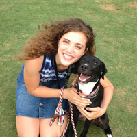 Looking for a roommate in North Atl - Atlanta