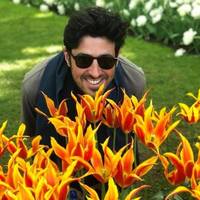 Looking for a roommate in Brooklyn - New York