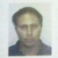 Looking for a roommate in Northwest Side, North Side, Far North Side, Central - Chicago