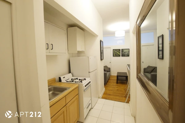 2 bedrooms apartment for rent in East Village - Manhattan, New York