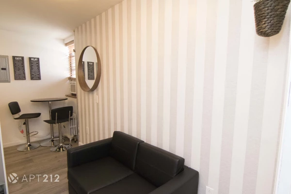 Studio Apartment for rent in China Town / Little Italy - Manhattan, New York