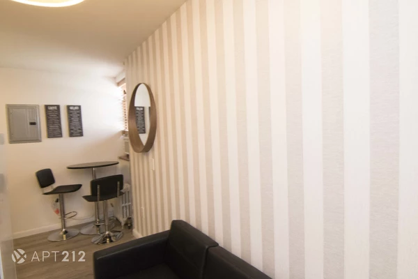 Studio Apartment for rent in China Town / Little Italy - Manhattan, New York