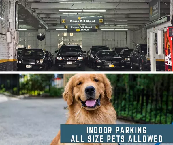 1 bedroom apartment for rent in Harlem - Manhattan, New York